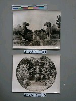 藏品(南京明孝陵石獸（江蘇）)的圖片